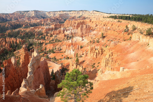 Bryce Canyon National Park in Utah, USA