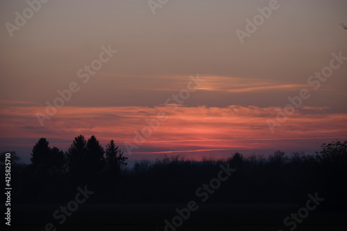 Sunset in a park