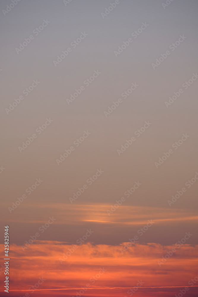 Fototapeta premium Sunset in a park