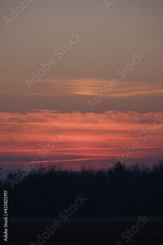 Sunset in a park