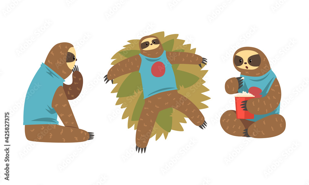 Fototapeta premium Sloth Character Set, Funny Slothful Animal in Various Poses Cartoon Vector Illustration