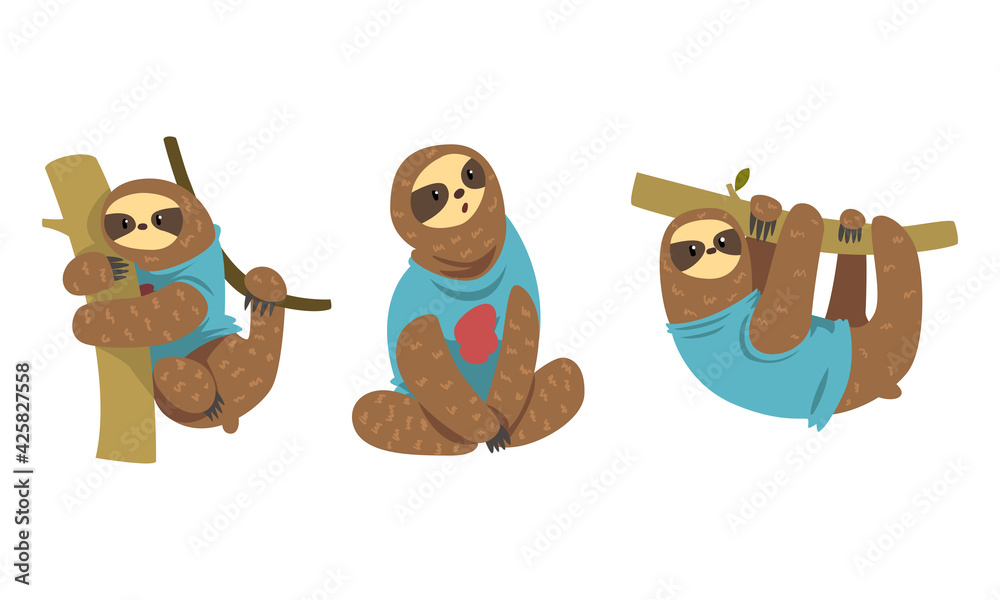 Fototapeta premium Sloth Character Set, Funny Tropical Animal Dressed Blue Vest Cartoon Vector Illustration