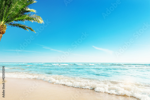Tropic Beach with Palm Background. Summer Holiday Tropical Travel Resort. Paradise Beach Vacation. Background with Palm Tree Sand Ocean Waves