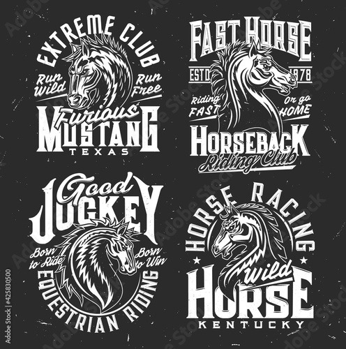 Riding club, jockey and horse polo, race t-shirt prints, vector. Wild horse stallion or mustang symbols of extreme equine riding, Kentucky and Texas equestrian club emblems for t-shirt print