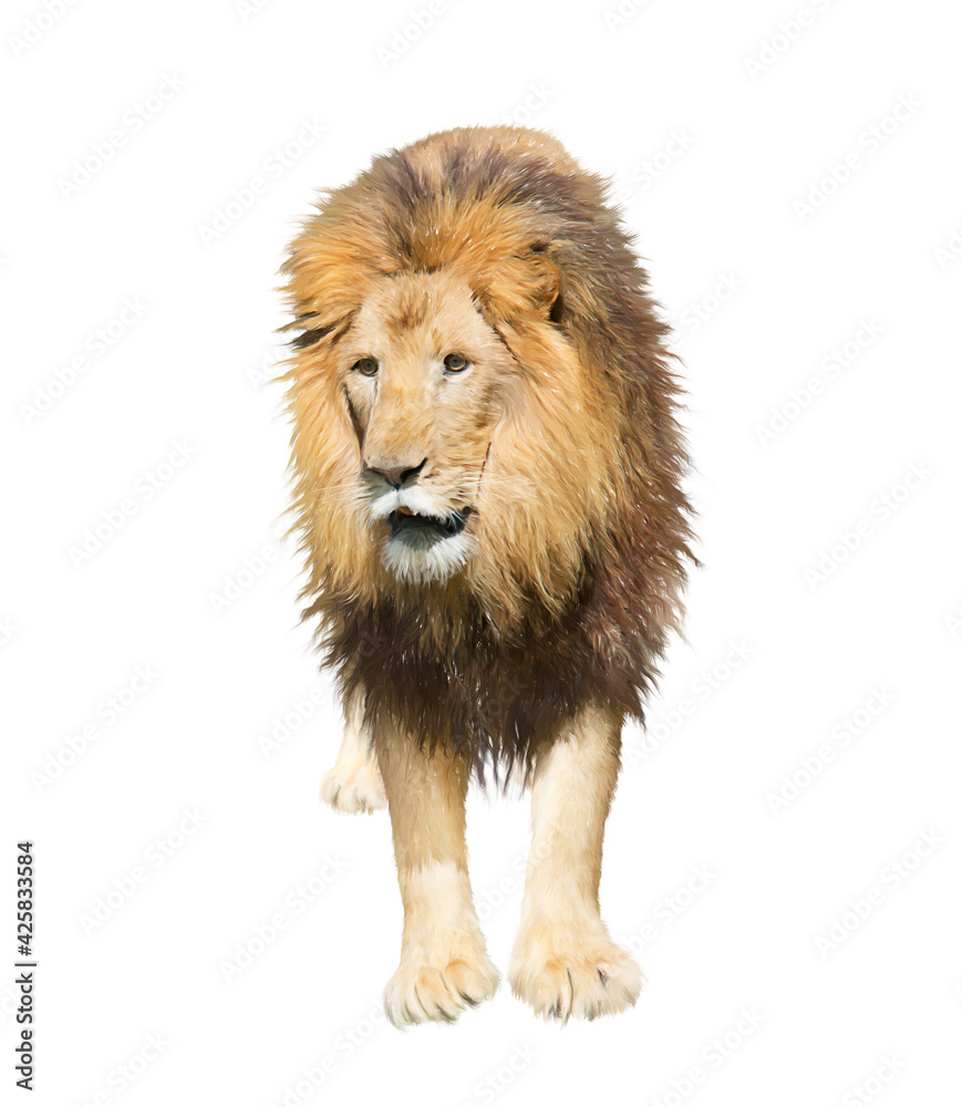 Digital Painting of Lion  on white background