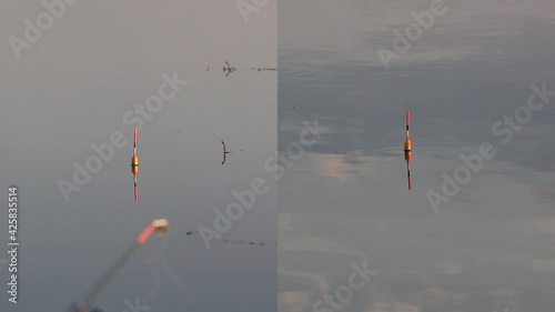 Multiscreen with fishing floats on the water. The movement of the fishing floats. The fish bites the bait
