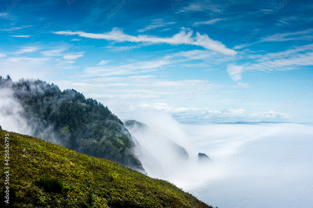 ocean fog ocean fog