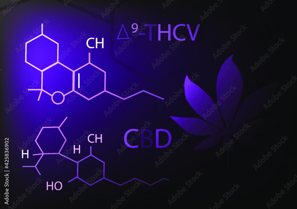 digital poster with comparison CBD and THC. digital poster with comparison CBD and THC.