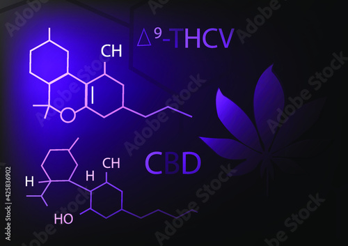 digital poster with comparison CBD and THC. 
