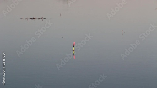 Fishing float slightly moving on water surface of the lake while fish bites the bait