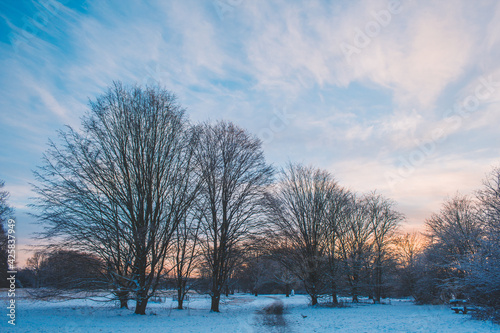 Winter landscape in Braunschweig, Lower Saxony, Germany. Beautiful snow covered Westpark during sunset in Winter