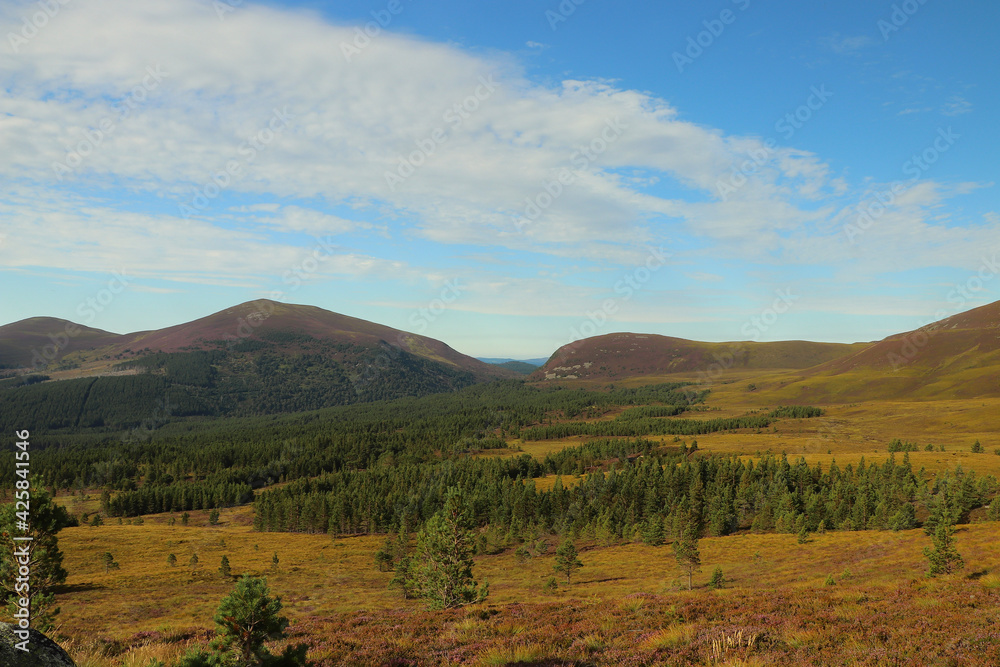 Fototapeta premium View out from high up in the Cairngorms
