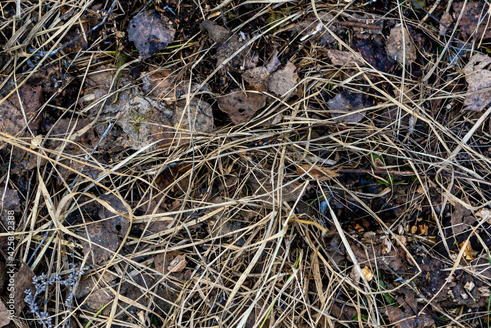 Snow with grass, dirt, texture