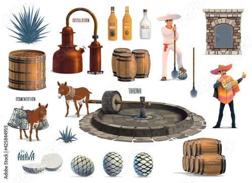 Mexican tequila alcohol drink production process. Vector agave harvesting, cooking in brick oven, extraction with tahona and donkey, fermentation and distillation with pot stills, aging and bottling