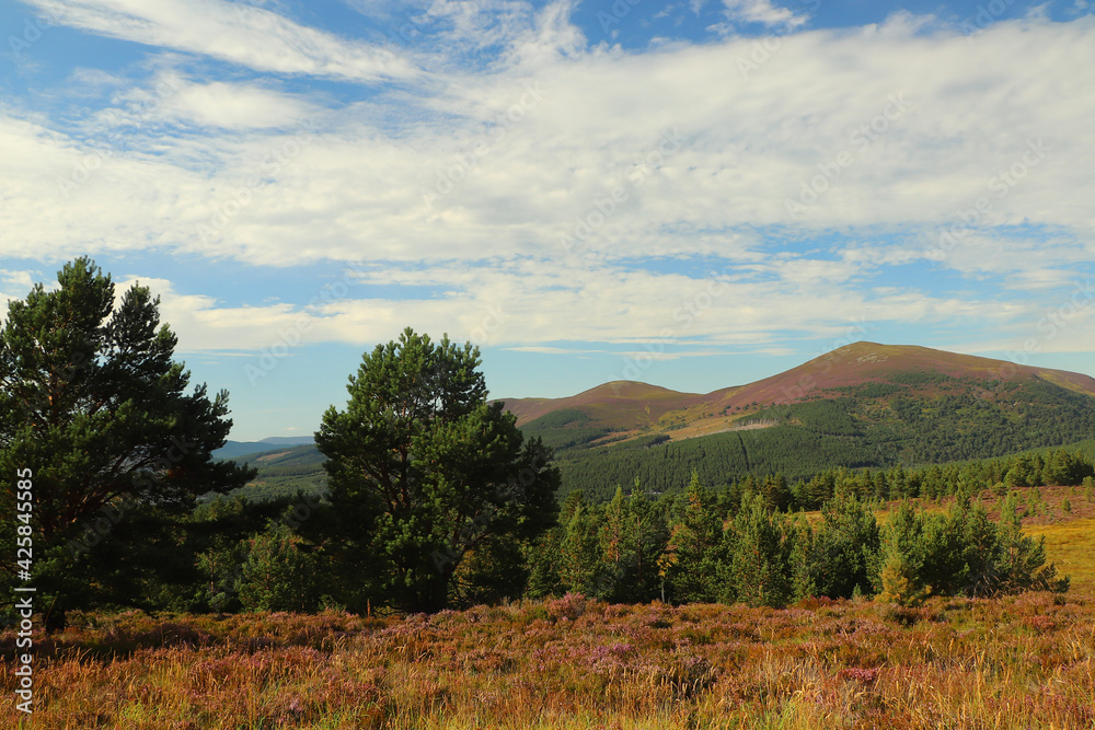 Fototapeta premium View out from high up in the Cairngorms
