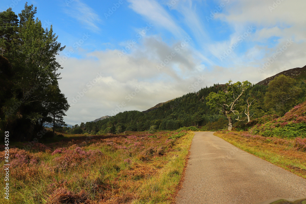 Winding path through Glen Strathfarrar 