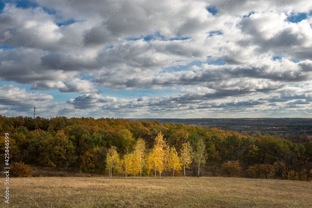 Naklejka premium Field and trees under cloudy sky at sunlight. Autumn