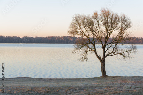 Wonderful spring morning by Kaunas lagoon. photo