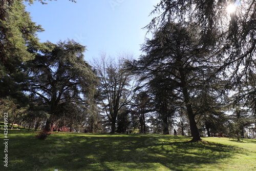 Fototapeta Naklejka Na Ścianę i Meble -  Parc de Parilly, ville de Bron , département du Rhône, France