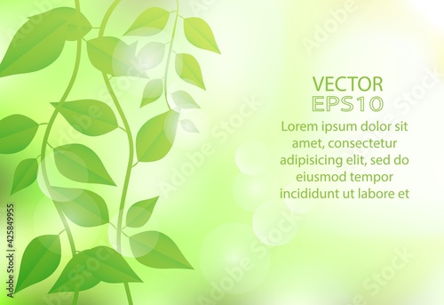 Nature green background with green spring leaves on sunshine and bokeh. Vector. illustration.