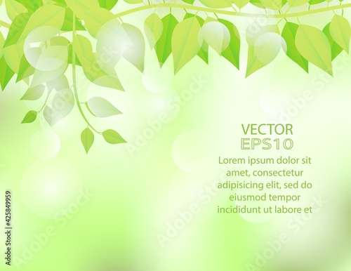 Nature green background with green spring leaves on sunshine and bokeh. Vector. illustration.