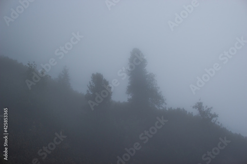 beautiful landscaping view in mountains, Five Polish Ponds Valley near of Zakopane city, Tatry mountains