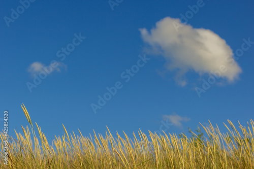 beautiful blue sky view with clouds and nobody