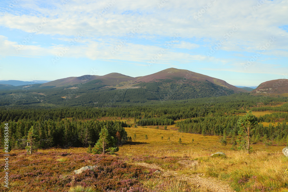 View out from high up in the Cairngorms View out from high up in the Cairngorms