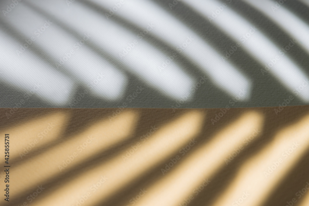 Palm leaf shadow against white and bright orange background. Minimal flat lay design. Palm leaf shadow against white and bright orange background. Minimal flat lay design.