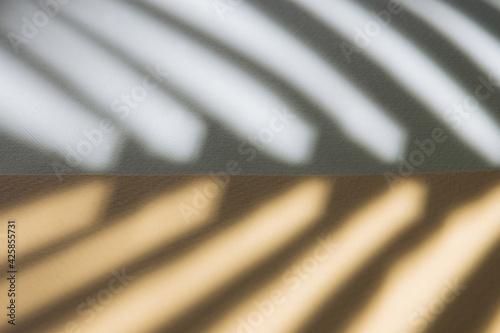 Palm leaf shadow against white and bright orange background. Minimal flat lay design.