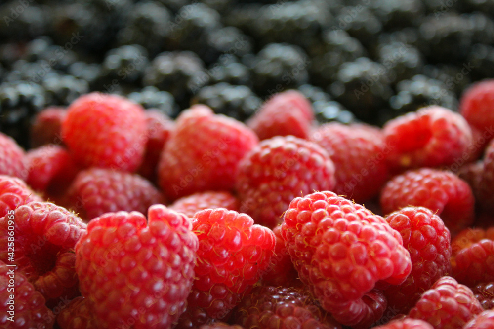 Fresh blackberries and raspberries ripe berries. Blackberries versus raspberries. Blackberries in background. Raspberries close up, macro. Sweet fresh ripe berries mix. Fresh blackberries and raspberries ripe berries. Blackberries versus raspberries. Blackberries in background. Raspberries close up, macro. Sweet fresh ripe berries mix.