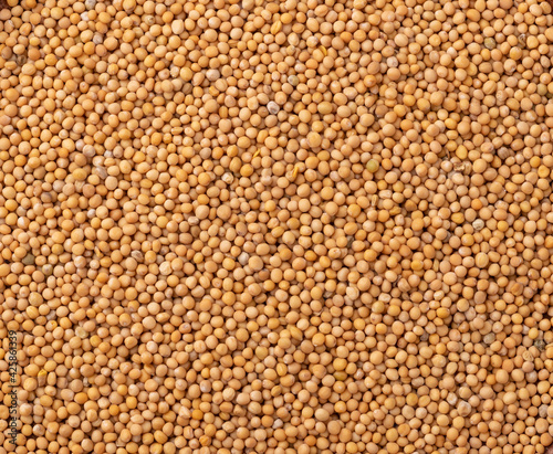 Top view, closeup of mustard seed. Food backdrop