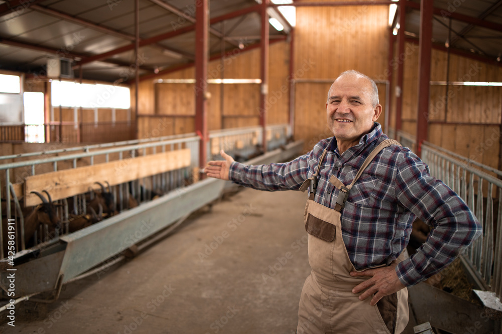 Portrait of successful smiling farmer showing his farm and domestic animals. Organic food production.