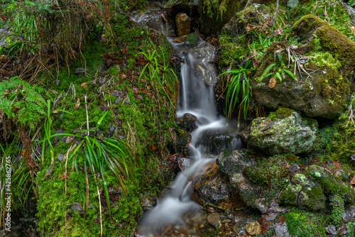 Small creek near Cerny creek in Sumava national park © luzkovyvagon.cz
