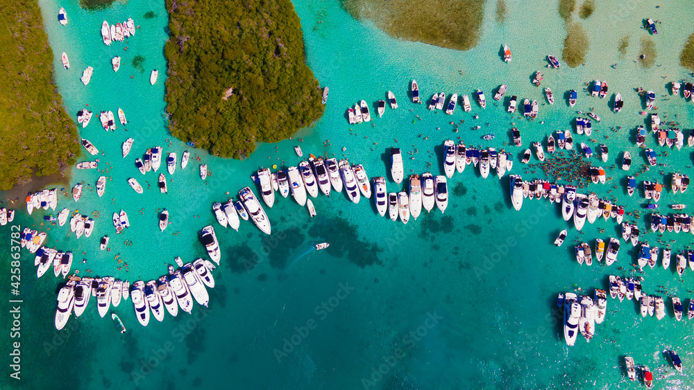 morrocoy venezuela foto de Stock | Adobe Stock