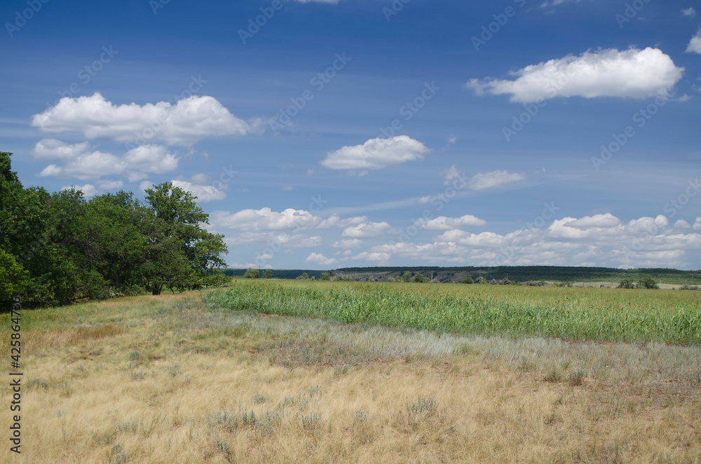Steppe on the banks of the Volga Steppe on the banks of the Volga