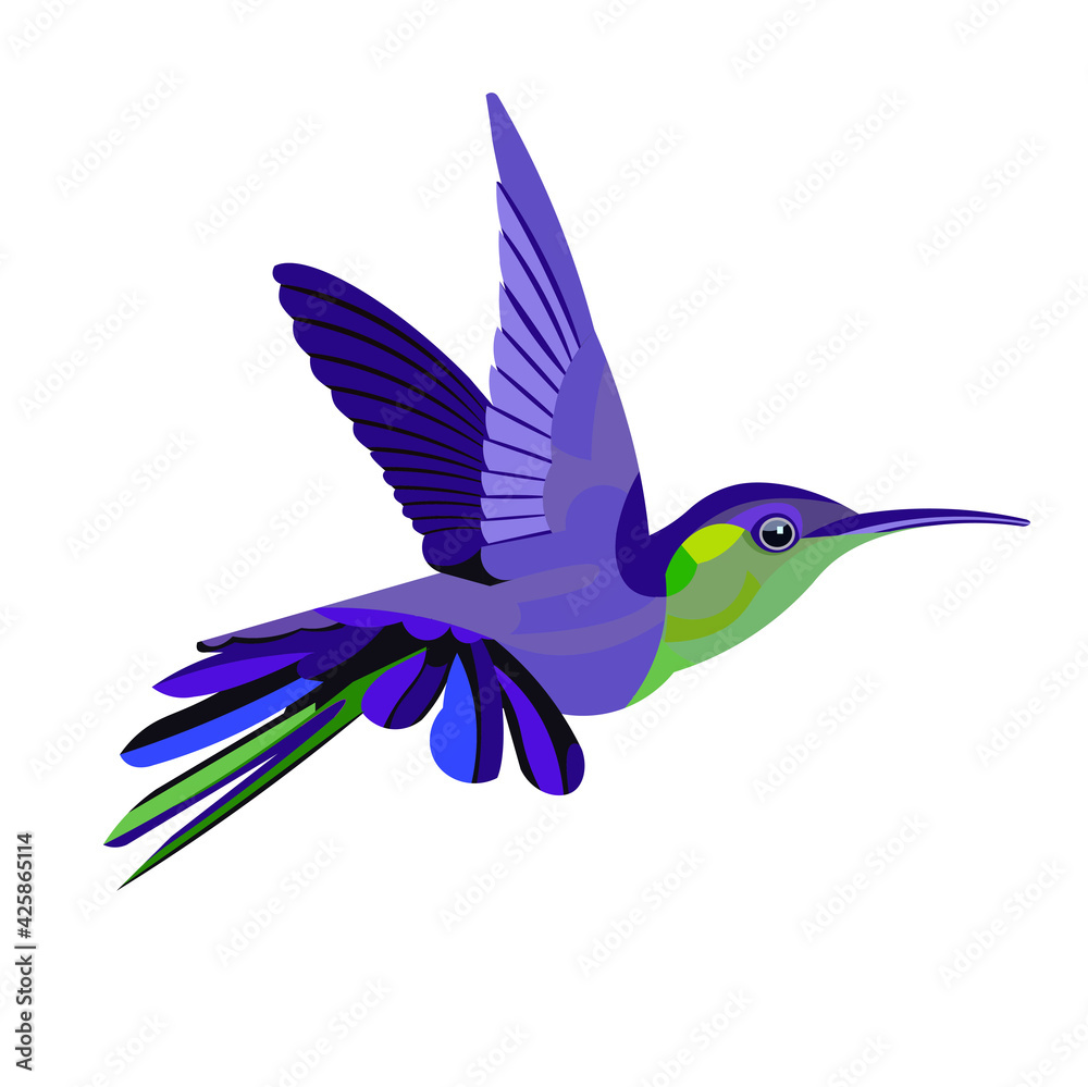 Fototapeta premium Beautiful blue and green tropical hummingbird flying vector isolated figure