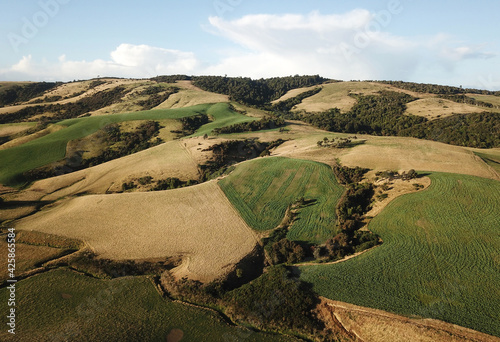 Aerial view of fields and farmland, Catlins, Southland, New Zealand photo