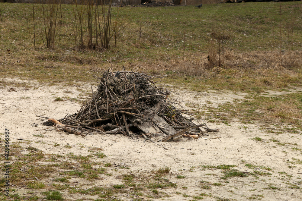 a pile of firewood for a fire in nature a pile of firewood for a fire in nature