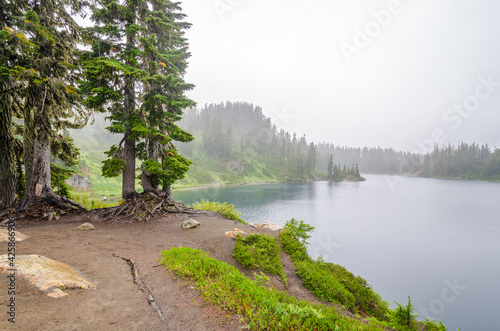 Fragment of foggy and rainy Bagley Lakes Trail at Mount Baker Park in Washington, USA photo