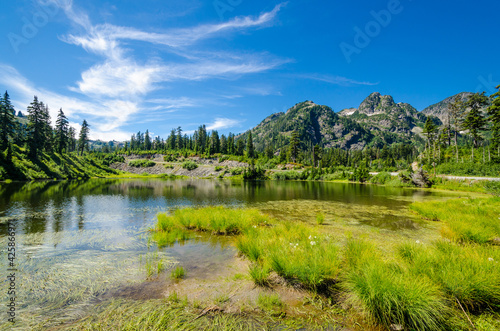 A Fir tree over majestic mountain lake in Bagley Lake Park, Mount Baker, Washington, USA.