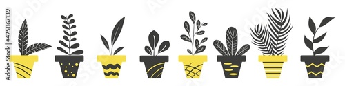 A set of different pots with home plants black and yellow