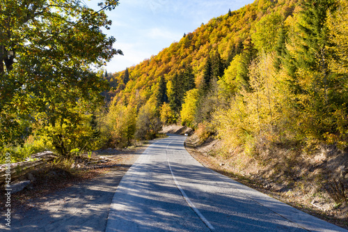 Road in the mountains, autumn forest