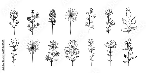 Doodle floral line set. Botanical minimalist elements, hand drawn foliage, simple outline flowers, minimal fine line tattoo. Vector illustration