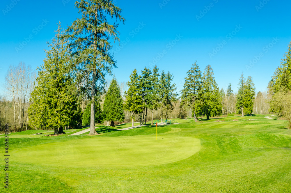 Golf course with gorgeous green and fantastic mountain view
