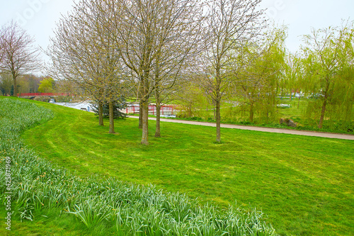 Photography Green grass green trees in the beautiful park.