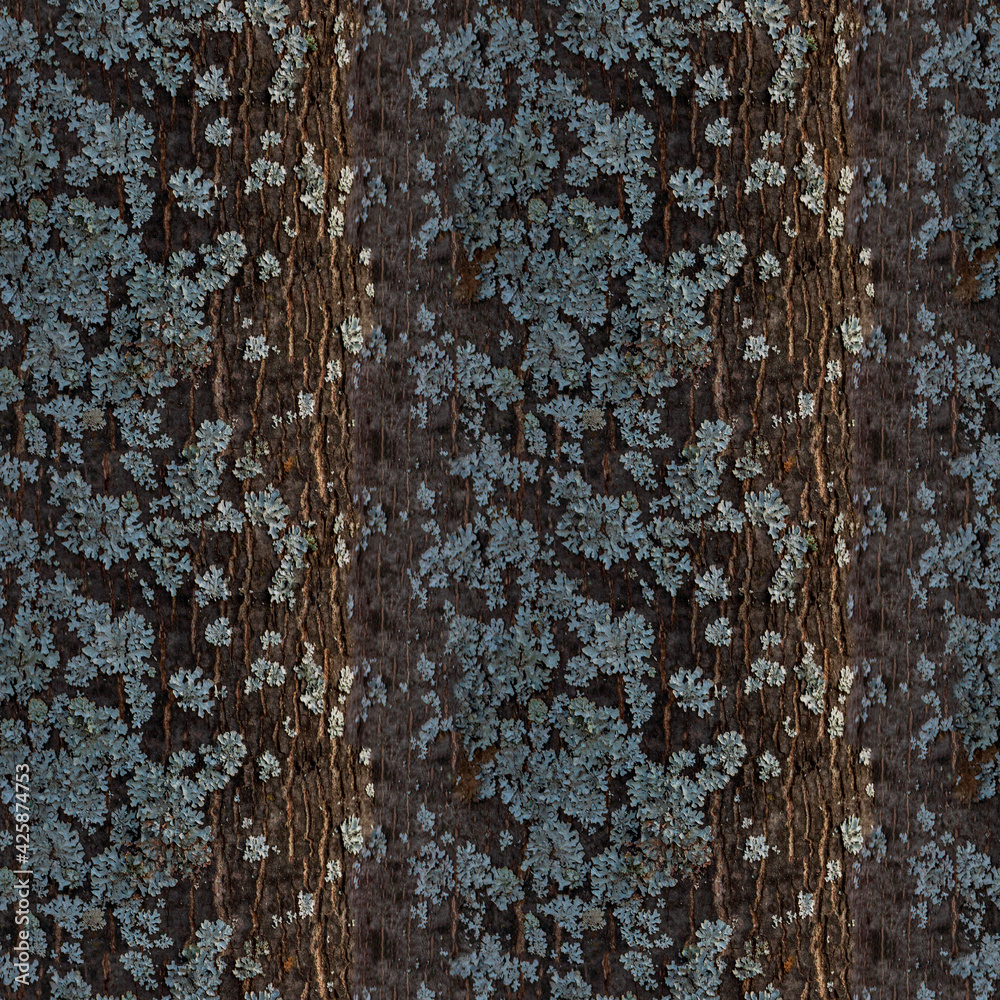 Fototapeta premium tree bark with lichen moss texture. 4k seamless texture for 3d texturing