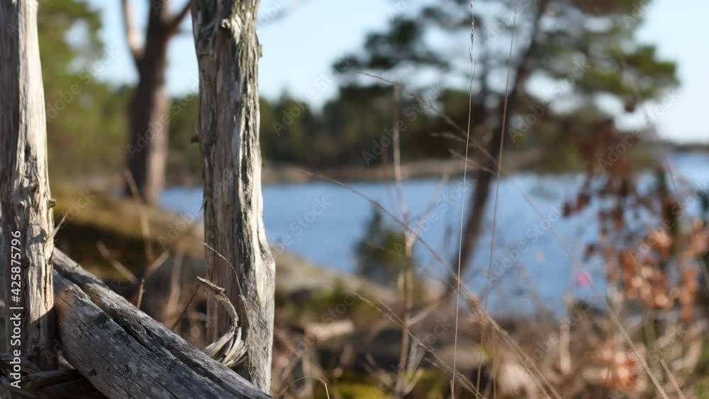 Peaceful sunny day outside at the Swedish coast by the water. Focus on the foreground of the old wooden fence and some grass straws that are moving in the wind. Footage made in Oskarshamn, Sweden Peaceful sunny day outside at the Swedish coast by the water. Focus on the foreground of the old wooden fence and some grass straws that are moving in the wind. Footage made in Oskarshamn, Sweden