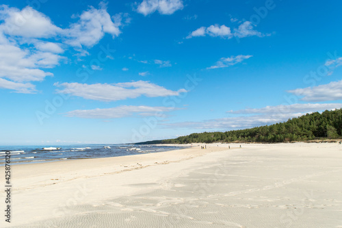 Fototapeta Naklejka Na Ścianę i Meble -  View of the sandy beach of the Baltic Sea with a pine forest next to it