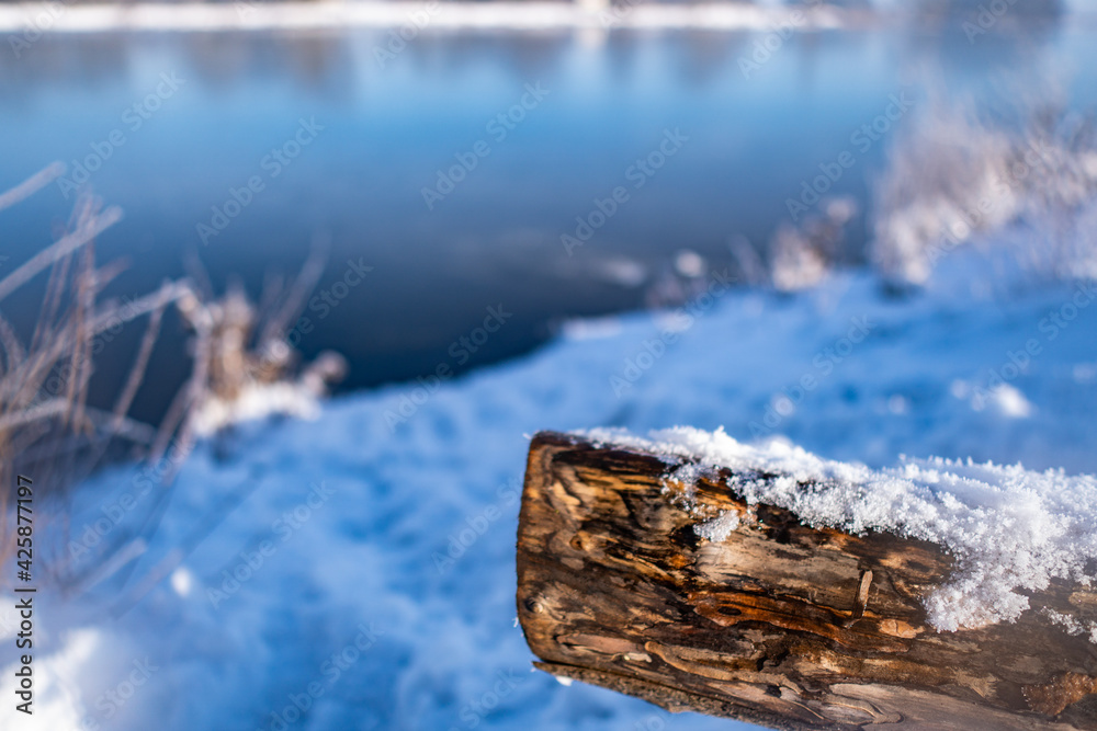 closeup of fallen trunk covered with snow with beautiful frozen river called werdersee in the background in bremen closeup of fallen trunk covered with snow with beautiful frozen river called werdersee in the background in bremen